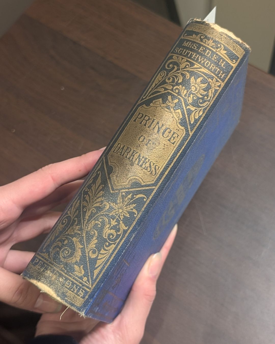 Spine of "The Prince of Darkness" by Mrs. E.D.E.N. Southworth. Contemporary blue publisher's cloth; stamped in black and gold.