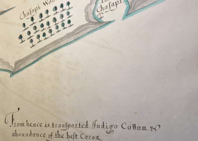 Detail of map depicting fort and nearby forest.