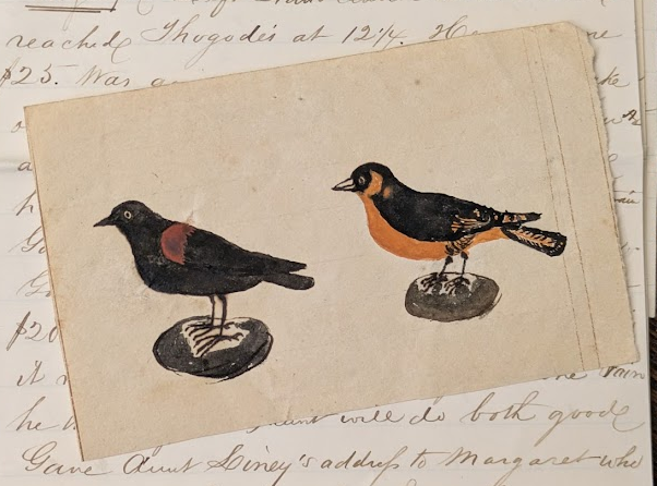 New Manuscript Finding Aids, August 2025