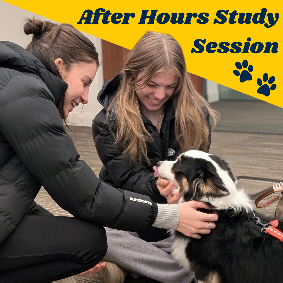 "After Hours Study Session" Two young women petting a therapy dog.