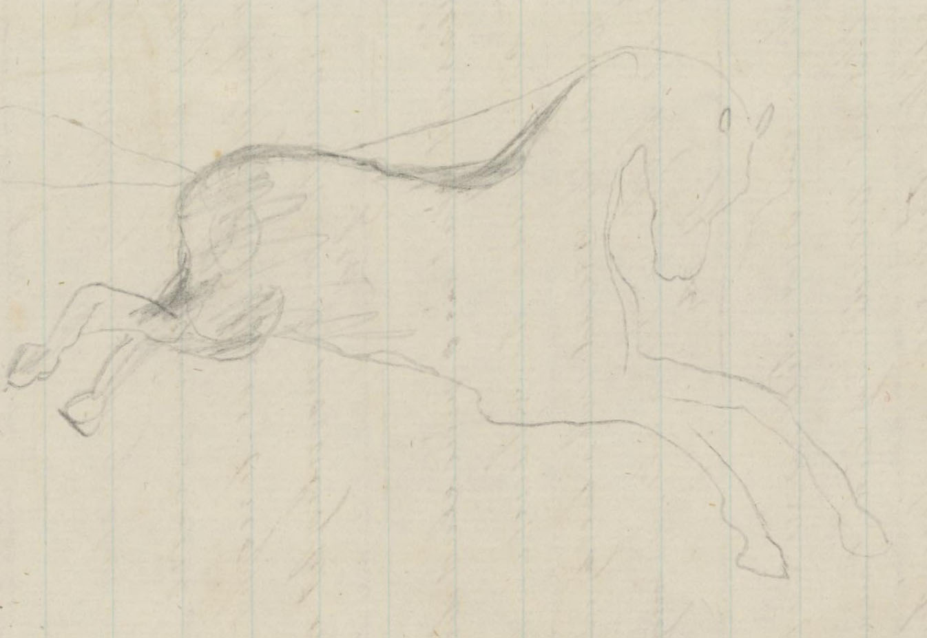 Sketch of the outline of a horse.