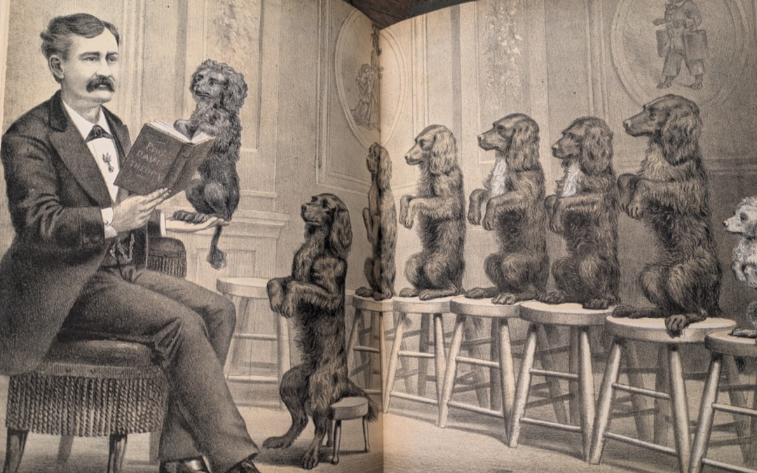 New Manuscripts Finding Aids, August 2026