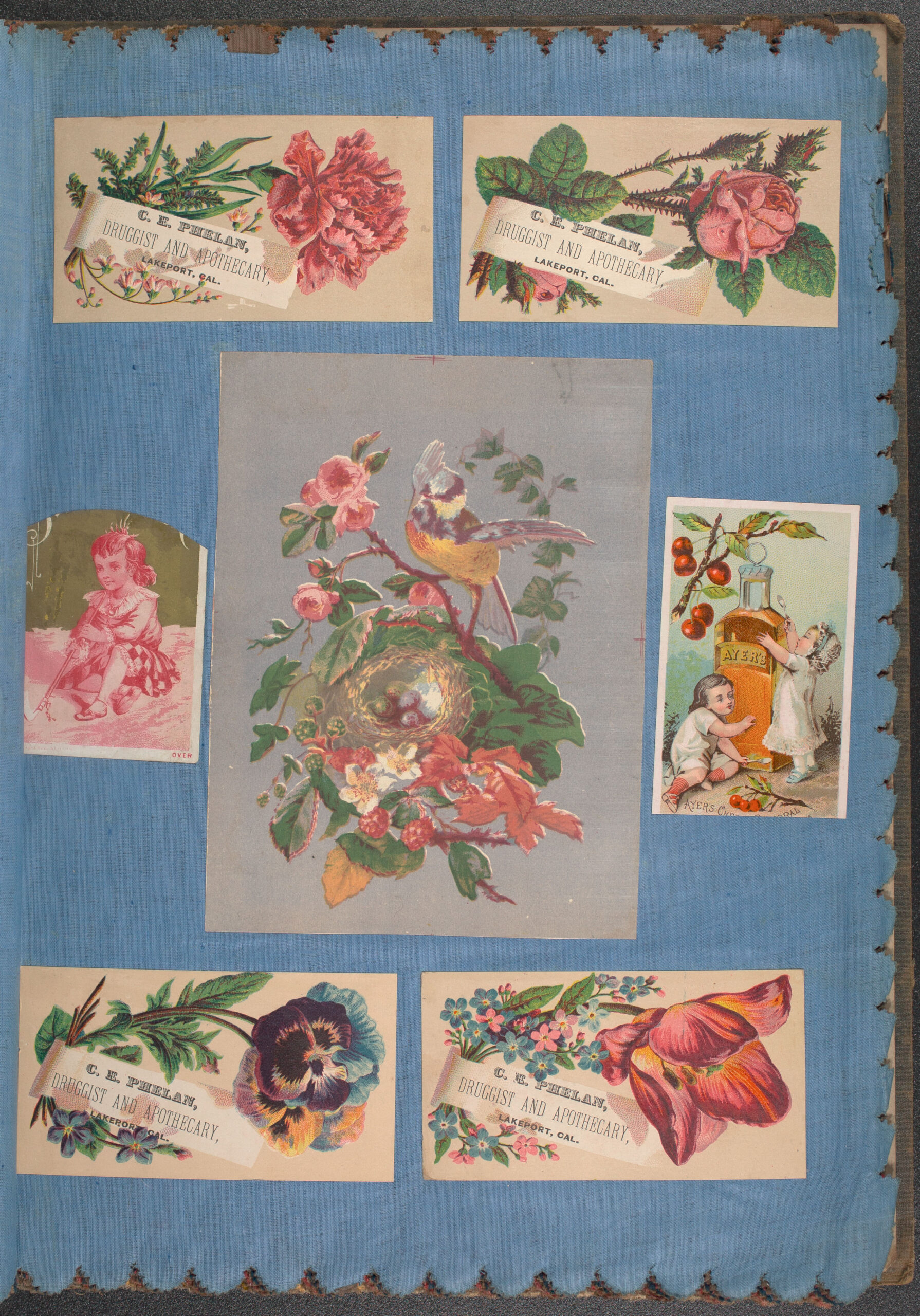 wclmss-m-8107-clara crumpton scrapbook-apothecary Scrapbook page with pieces of ephemera depicting flowers, children, and a bird.