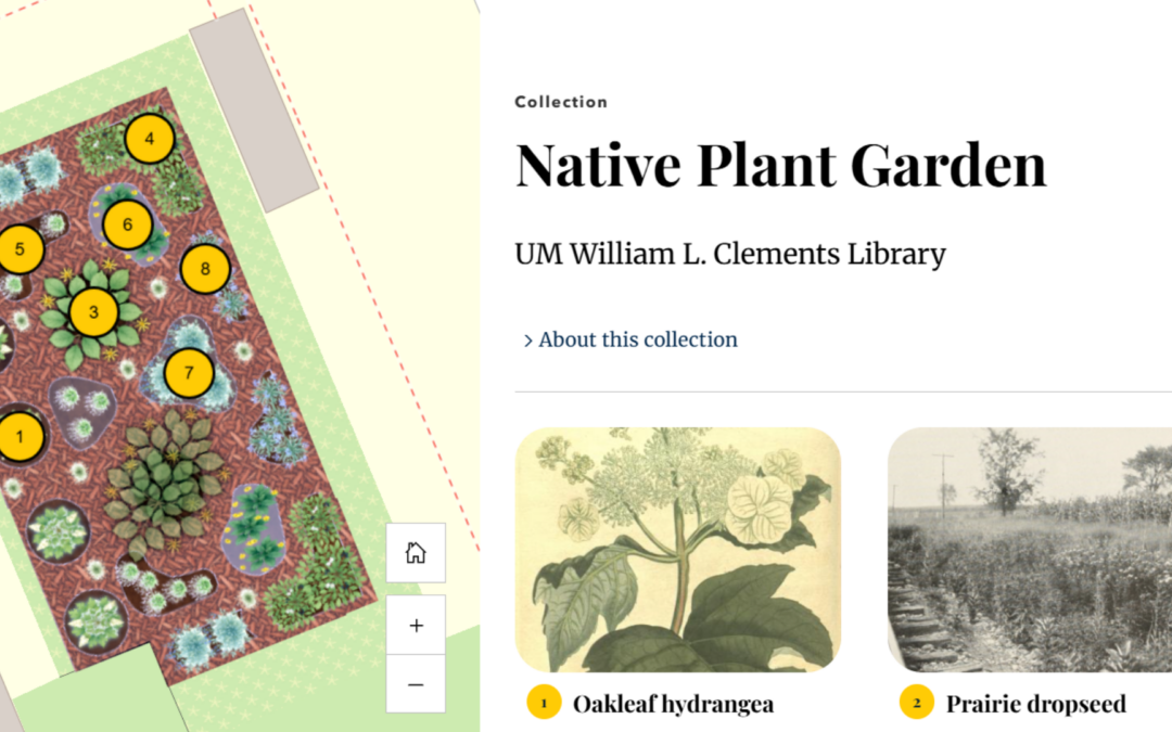 Turning Over a New Leaf: The Clements Library’s Native Plant Garden