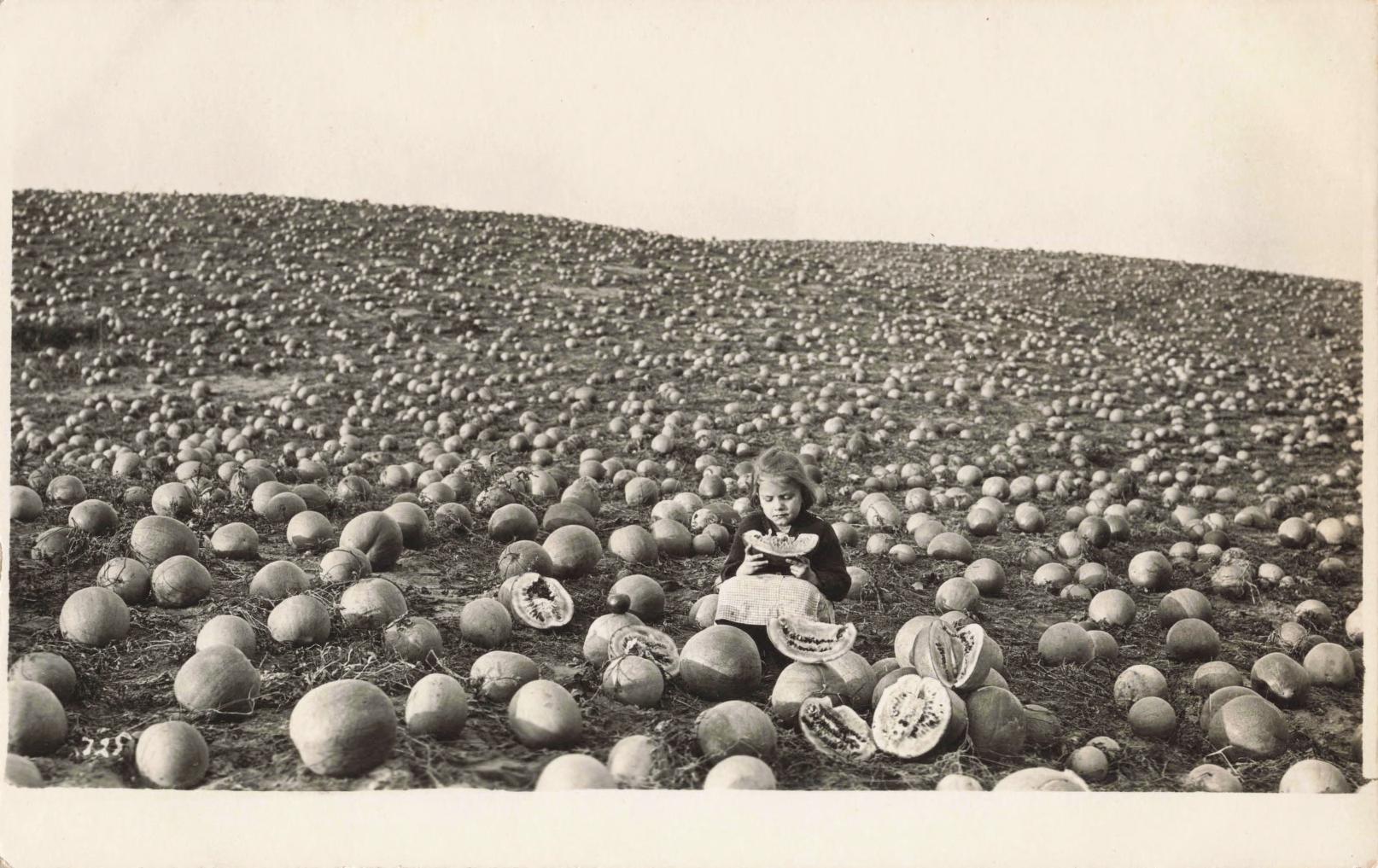 tinder_28671_TINDER-RPPC-057341_tinder-rppc-057341_1614x1017 A young girl sits in a field full of what appear to be melons. Several of the melons are cut open in front of her, and she is in the process of eating a slice.