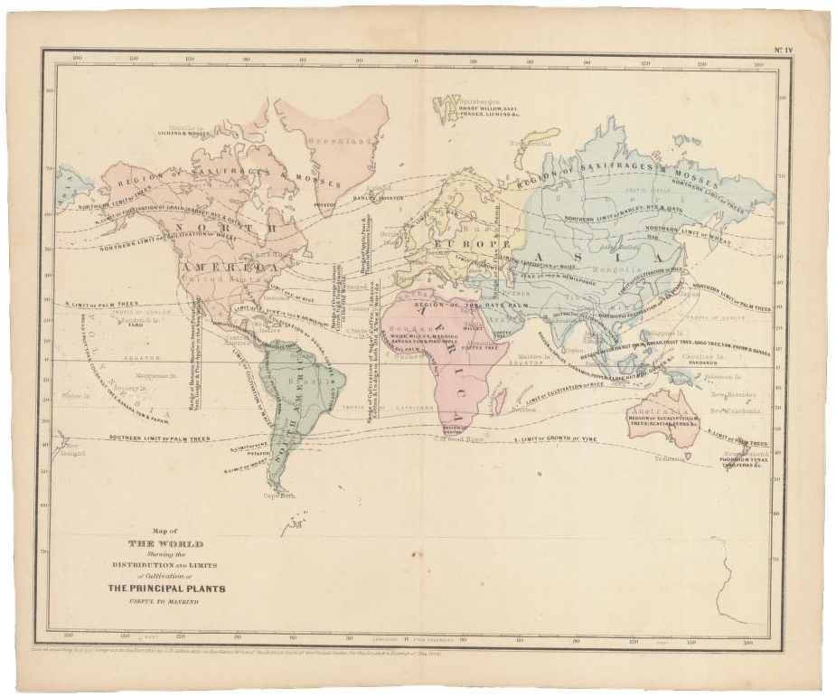 wcl1ic_6554_WCL006621_wcl006621_1096x965 This map shows the global distribution of various food crops like rice, sugar, coffee, tea, and wheat. Dotted lines delimit the various crops’ growing areas.